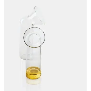 Designer Duck Alta Glass Bottle - 150 x 150 x 320 mm - Set of 6