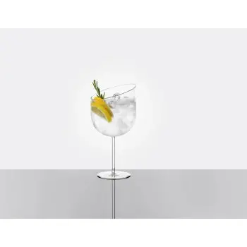Designer Gino Gin Tonic Glass - 120 x 120 x 240 mm - Set of 6