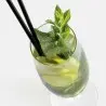 Designer Cucumber Long Drinks Glass - 120 x 120 x 330 mm - Set of 6