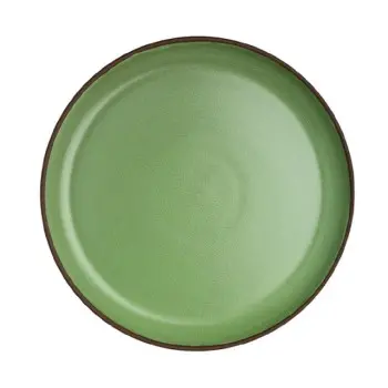 Maham Studio Plate 10 3/4 in Cardamom - Set of 12