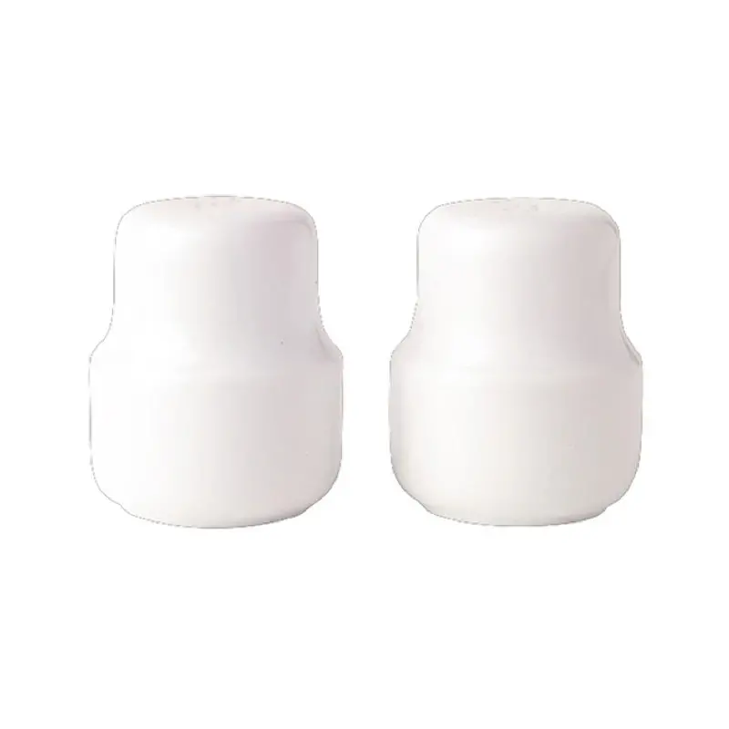 Royal Porcelain Salt Shaker 2 in Avalon Aruba - Set of 36