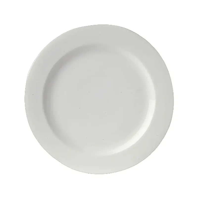 Royal Porcelain Rim Plate 9 1/2 in Avalon - Set of 24