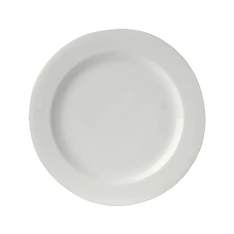 Royal Porcelain Rim Plate 11 in Avalon - Set of 12