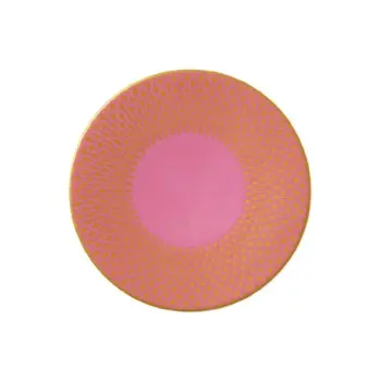 William Edwards Plate 6 in Jewel Rose - Set of 12