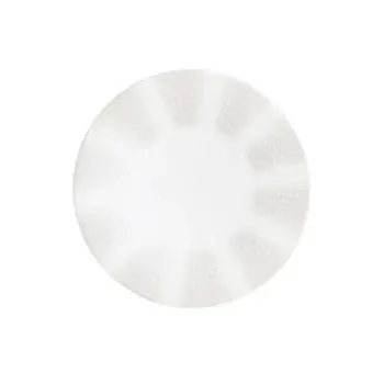 William Edwards Plate 8 3/4 in Quill - Set of 12