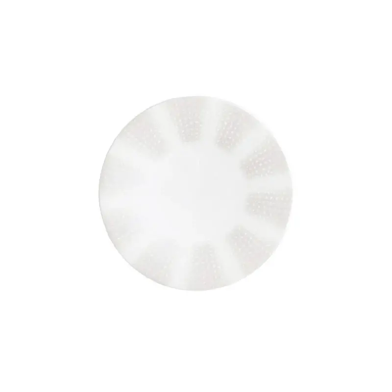 William Edwards Plate 8 3/4 in Quill - Set of 12