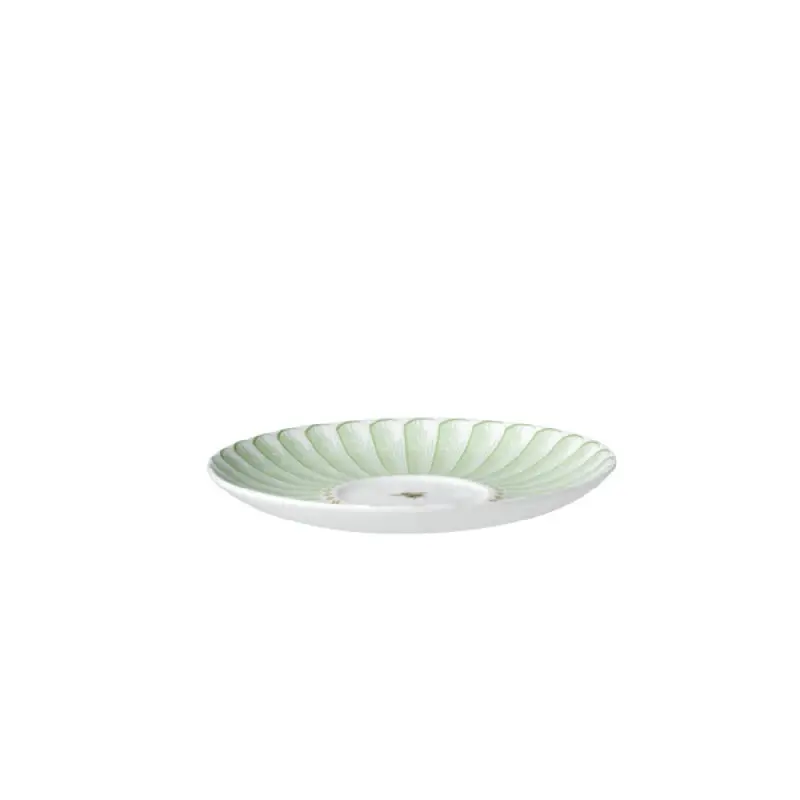 William Edwards Tea For One Saucer 5 3/4 in (Fits And0411A, And0562) Hive - Set of 12