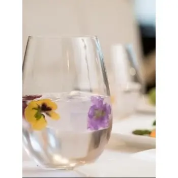 Reserve by Libbey Stemless Wine Glass 21 oz. clear Renaissance - Case of 12