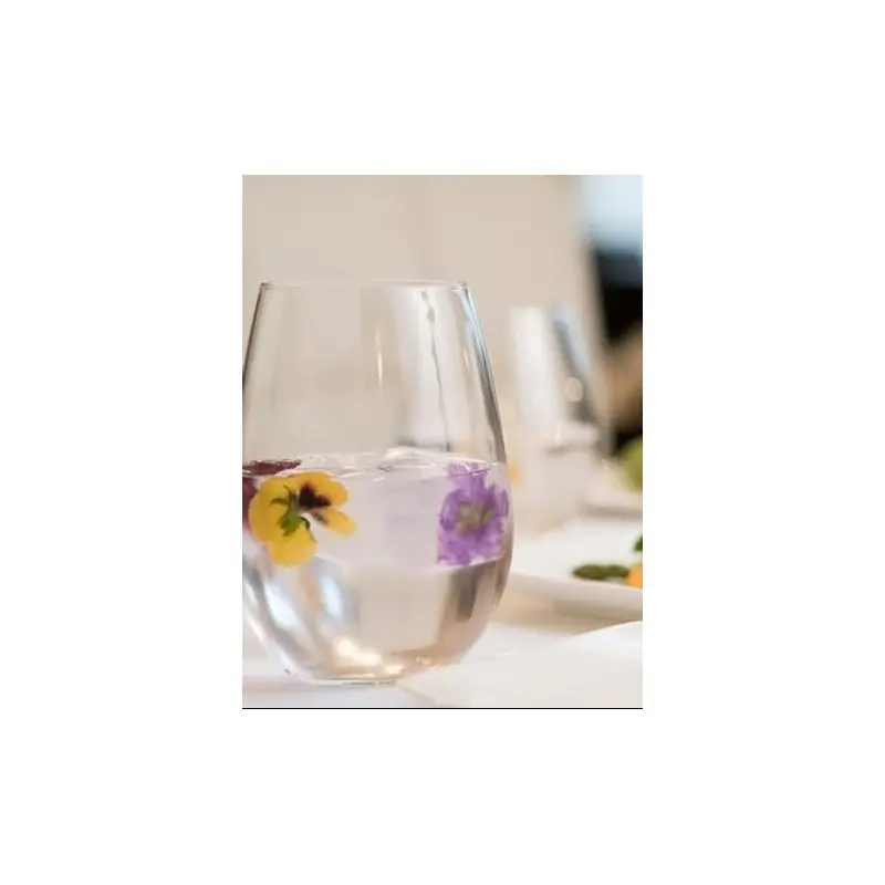 Reserve by Libbey Stemless Wine Glass 21 oz. clear Renaissance - Case of 12 Reserve by Libbey Stemless Wine Glass 21 oz. clear Renaissance - Case of 12