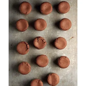 The Vegan Pastry Bible by Toni Rodríguez - English & Spanish Language