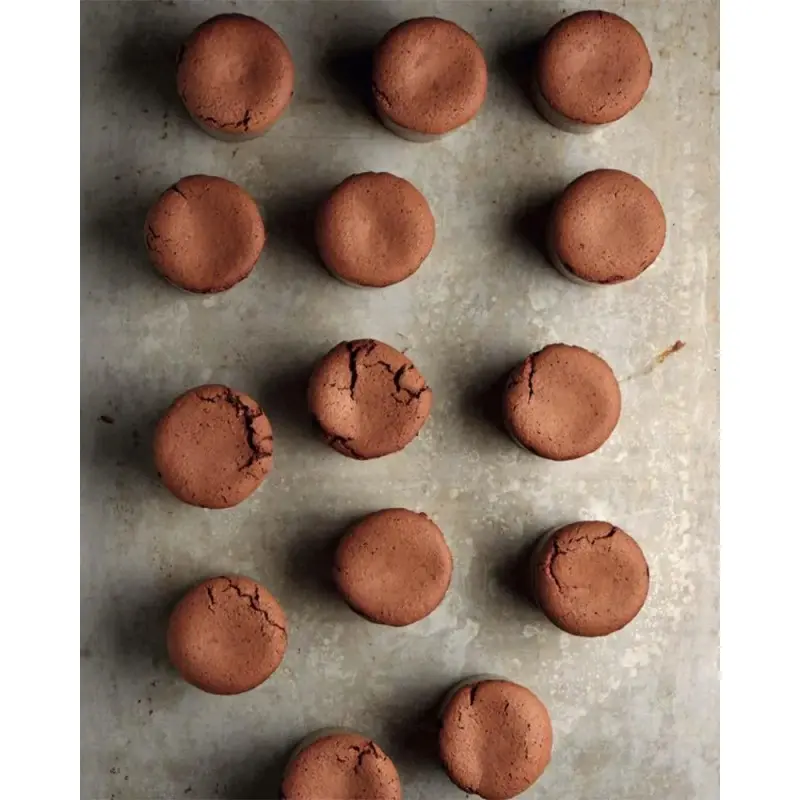 The Vegan Pastry Bible by Toni Rodríguez - English & Spanish Language The Vegan Pastry Bible by Toni Rodríguez - English & Spanish Language