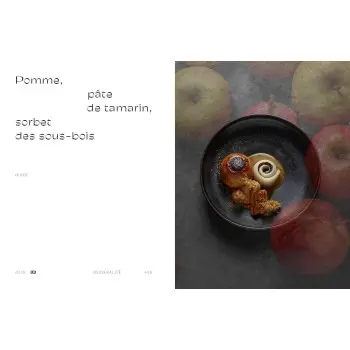 Le Grand Livre de la Naturalité by Alain Ducasse - French Language