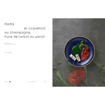 Le Grand Livre de la Naturalité by Alain Ducasse - French Language