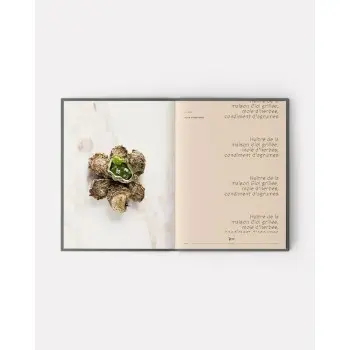 ADN Volume 1 by Alain Ducasse, Jean-Philippe Blondet, & Amaury Bouhours - French Language
