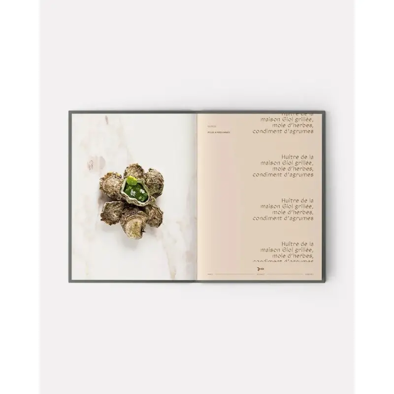 ADN Volume 1 by Alain Ducasse, Jean-Philippe Blondet, & Amaury Bouhours - French Language ADN Volume 1 by Alain Ducasse, Jean-Philippe Blondet, & Amaury Bouhours - French Language