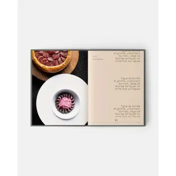 ADN Volume 1 by Alain Ducasse, Jean-Philippe Blondet, & Amaury Bouhours - French Language