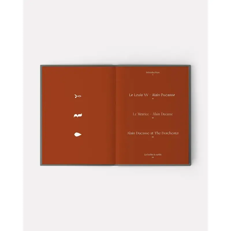 ADN Volume 1 by Alain Ducasse, Jean-Philippe Blondet, & Amaury Bouhours - French Language ADN Volume 1 by Alain Ducasse, Jean-Philippe Blondet, & Amaury Bouhours - French Language