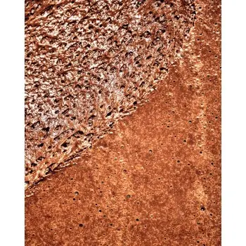 La Mousse au chocolat, c'est mon dessert préféré! by Philippe Toinard - French Language