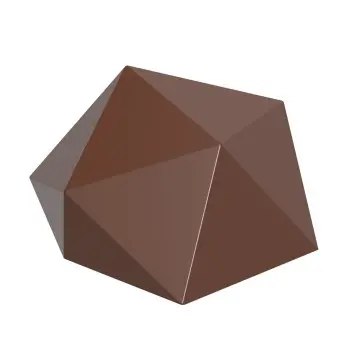 Polycarbonate D20 Dice Chocolate Mold by Stijn Vandenbouhede - 28mm x 28mm x h 14mm - 6.7gr - 24 cavity