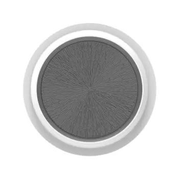 Silikomart Professional The slice of citrus 940 Silicone Entremet Mold - ø170 mm x h 45 mm - 940ml