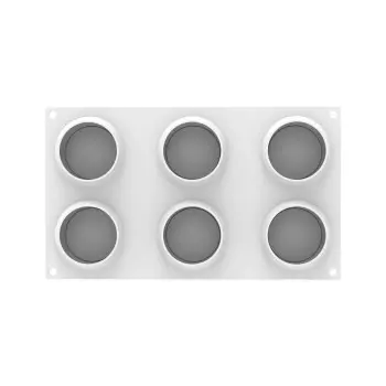 Silikomart Professional The slice of citrus 100 Single Portion Silicone Pastry Mold - ø70 mm x h 31 mm - 100ml - 6 Cavity