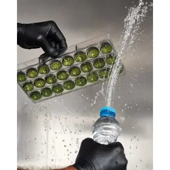 OFFBEAT by Andrey Dubovik - 2025 - English Language