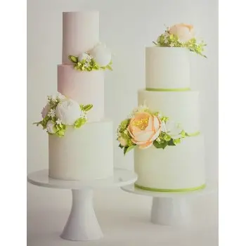 Modern Sugar Flowers by Jacqueline Butler - Hardcover - English