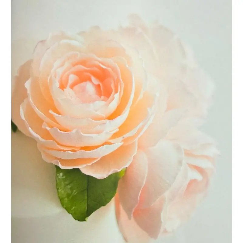 Modern Sugar Flowers by Jacqueline Butler - Hardcover - English