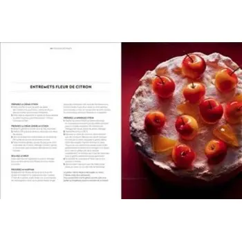 Gâteaux: 150 petits et gros gâteaux à dévorer by Christophe Felder - Hardcover - French