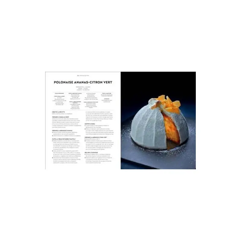 Gâteaux: 150 petits et gros gâteaux à dévorer by Christophe Felder - Hardcover - French