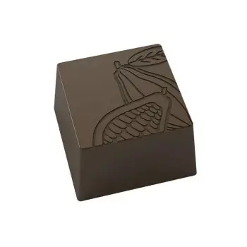 Polycarbonate Square Cocoa Pod Chocolate Praline Mold - 32 mm x 32 mm x 32 mm - 20.7 gr - 24 cavity