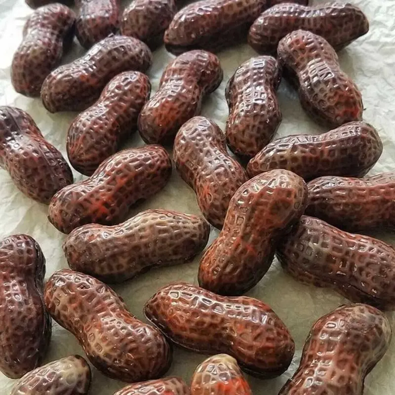 Polycarbonate Peanut Chocolate Mold - 45 mm x 19 mm x 10 mm - 6 gr - 20 cavity