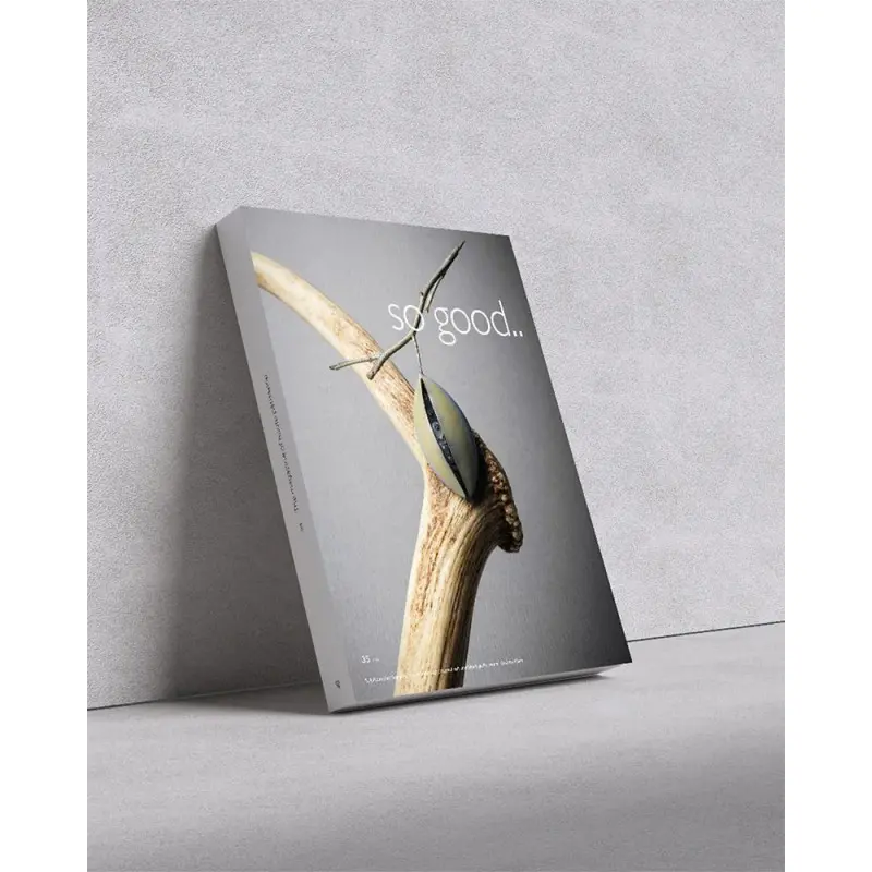 So Good Magazine 35, The Magazine of Haute Patisserie by Grupo Vilbo