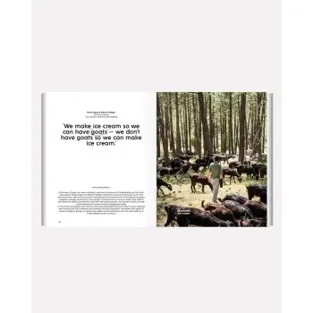 So Cool Magazine 3, The Magazine of Signature Ice Cream by Grupo Vilbo