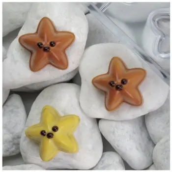Polycarbonate SANDY Starfish Chocolate Mold - 34.5 mm x 34 mm x h 20 mm - 9.5gr - 20 cavity
