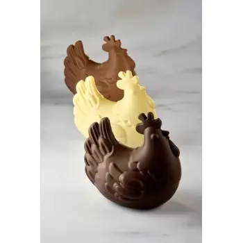 Pavoni Thermoformed Cesira Chocolate Mold - 175 mm x 120 mm × h 160 mm - 2 pcs