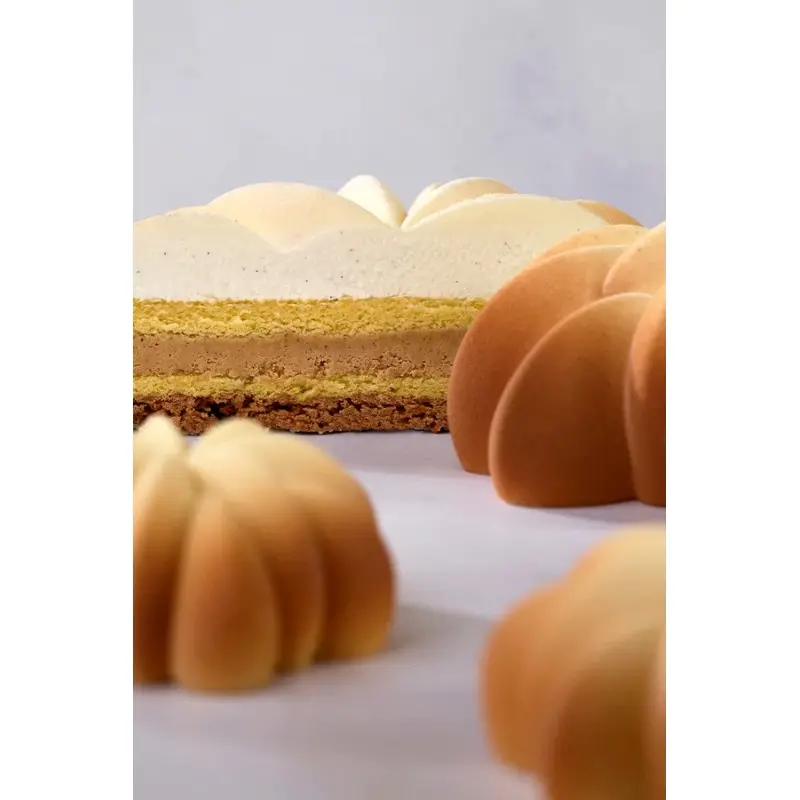 Pavoni Professional Eclat Entremet Silicone Mold - Ø 190 mm x h 45 mm - 1100 ml