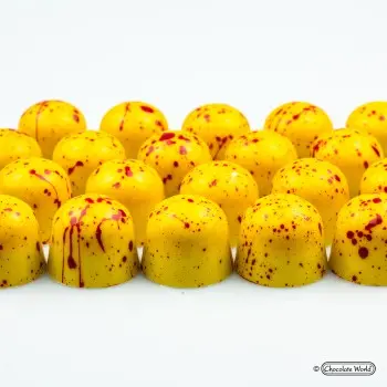 Polycarbonate Dome Chocolate Mold - Ø 29 x 25 mm - 15gr - 28 Cavity