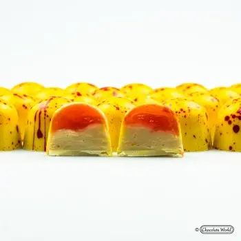 Polycarbonate Dome Chocolate Mold - Ø 29 x 25 mm - 15gr - 28 Cavity