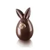 Thermoformed Lucky Bunny Easter Themed Chocolate Mold - 110 mm x 105 mm