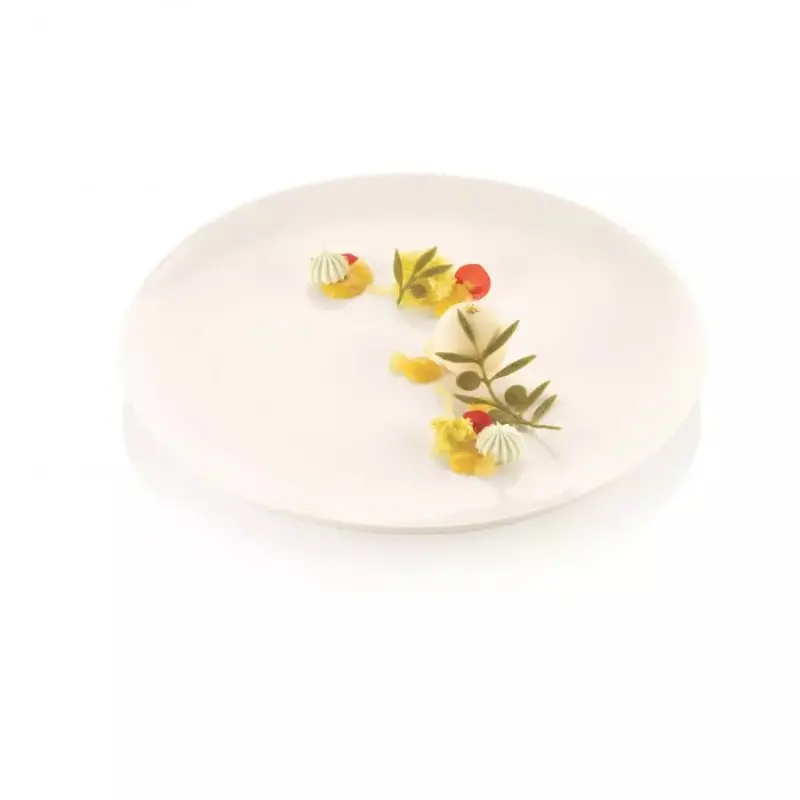 Silikomart Naturae Olive Branches Decoration Silicone Mold - 27 cavity