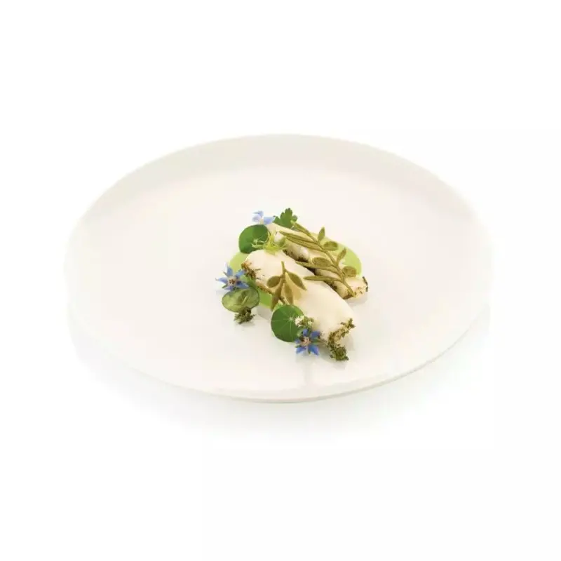 Silikomart Naturae Olive Branches Decoration Silicone Mold - 27 cavity