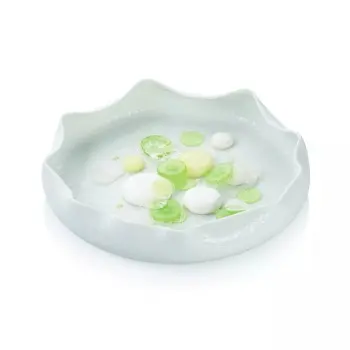 Silikomart Naturae Round Cylinders Decoration Silicone Mold - by Michele Abbatemarco - 26 cavity