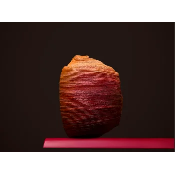 Valrhona Raspberry Inspiration Sticks 7g - 31% Cocoa - Box of 220 sticks