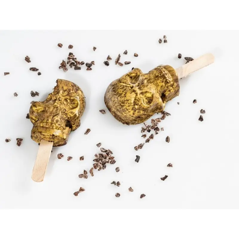 Professional Silicone Silicone Mould Skull - 26 x 11 x 3 cm