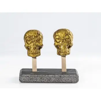 Professional Silicone Silicone Mould Skull - 26 x 11 x 3 cm