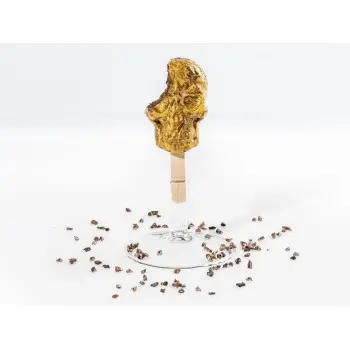 Professional Silicone Silicone Mould Skull - 26 x 11 x 3 cm