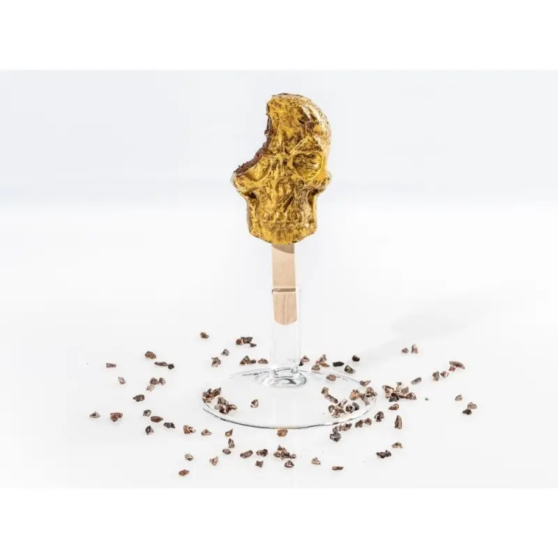 Professional Silicone Silicone Mould Skull - 26 x 11 x 3 cm