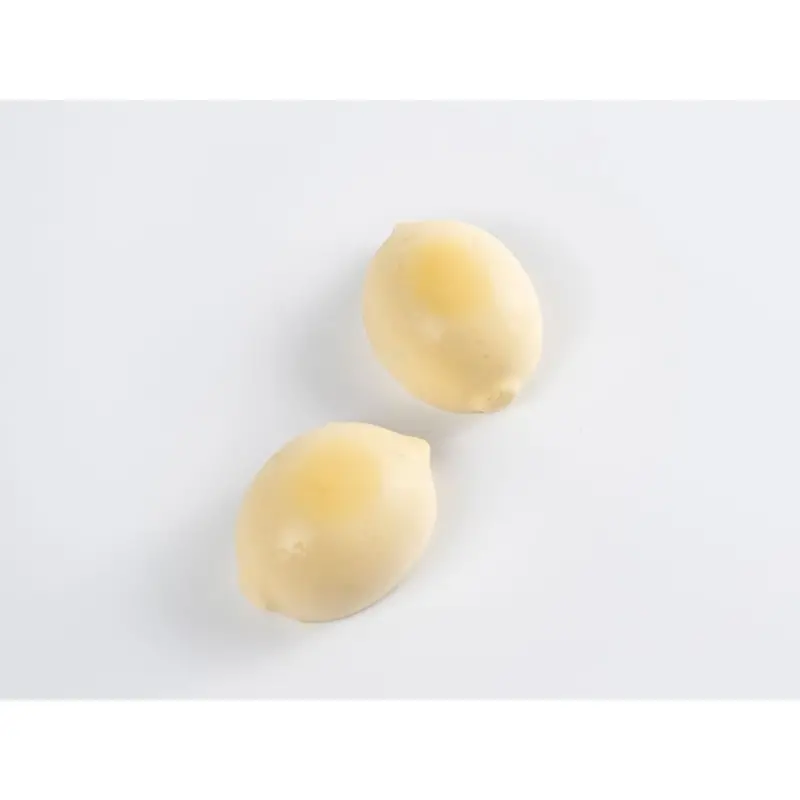 Professional Silicone Silicone Mould Lemmon - 30 x 17 x 3 cm