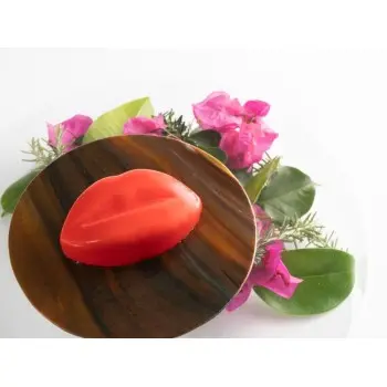 Professional Silicone Silicone Mould Lips - 29 x 17 x 4 cm